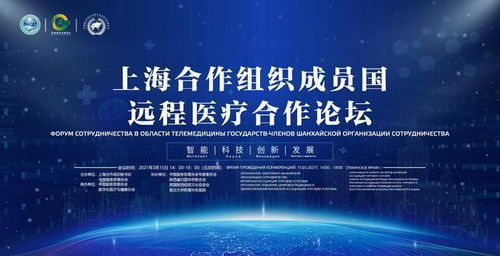 數字絲路，健康同行 中國數字化醫療技術助力“一帶一路”醫療事業發展